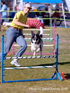 Claudia & Sally - beautiful rear cross! - Photo by David Ramey